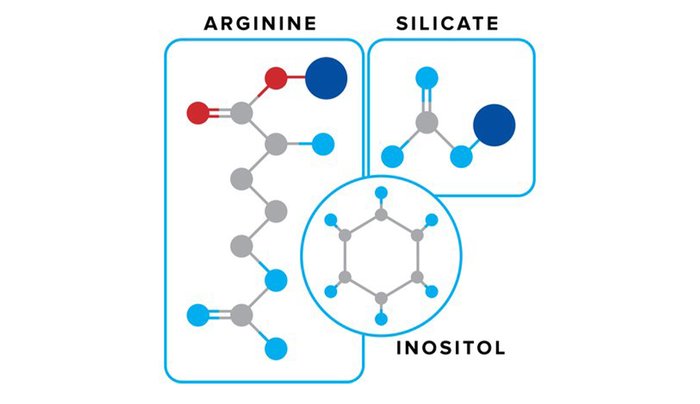 5 suplementos nootrópicos para estimular o cérebro 6 Nitrosigina