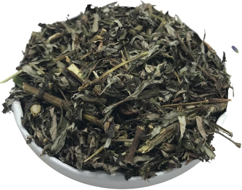 Artemísia Vulgaris, Planta Medicinal para Menstruação Irregular, Cólicas e Ansiedade, Propriedades Anti-inflamatórias, Antioxidantes, Antiespasmódicas e Antissépticas