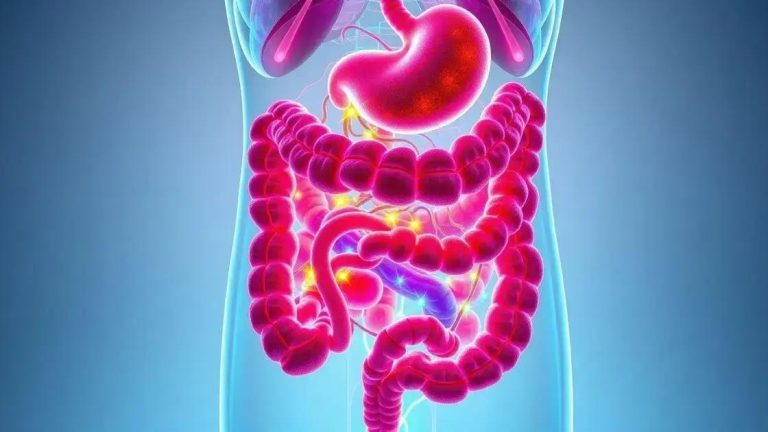 O impacto da saúde mental nos problemas gastrointestinais: Entenda essa relação 1 O impacto da saúde mental nos problemas gastrointestinais: Entenda essa relação