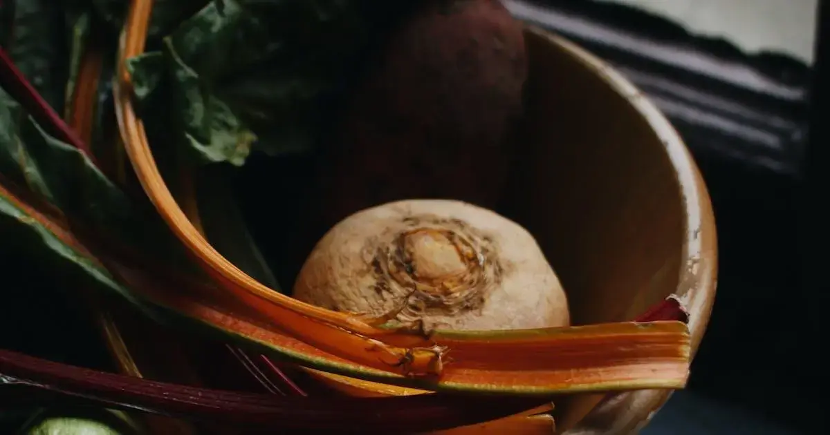 Como escolher e armazenar abobrinhas frescas