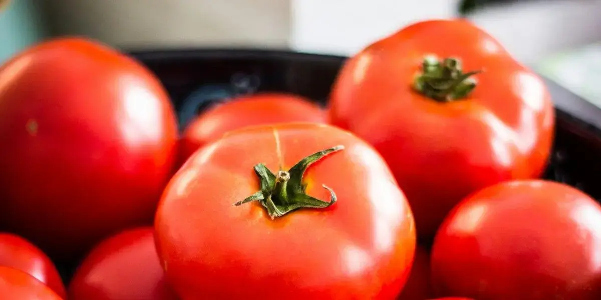 Estratégias de Medicina Ortomolecular para Reduzir o Estresse em Workaholics