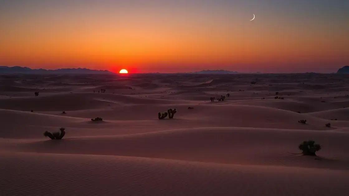 Dicas de Uso e Cuidados Essenciais