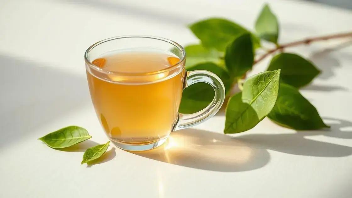 Precauções e contraindicações do uso do chá