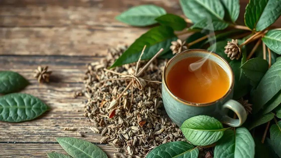 Benefícios da erva de bugre para a saúde Benefícios da erva de bugre para a saúde