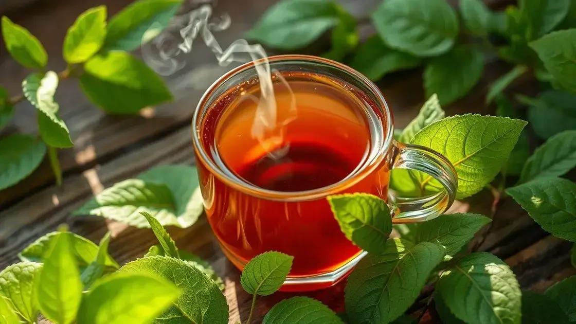 Descubra os Benefícios do Chá de Bugre para Sua Saúde e Bem-Estar 1 Descubra os Benefícios do Chá de Bugre para Sua Saúde e Bem-Estar