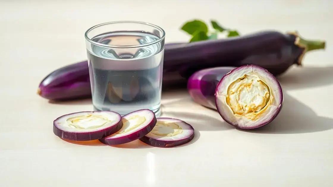 Como a água de berinjela pode ajudar na hidratação e ingestão de potássio