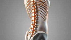 Os Diferentes Tipos de Lordose e Seus Tratamentos Específicos