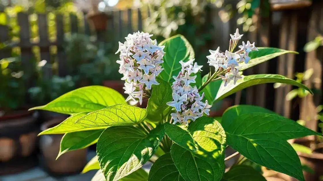 Benefícios do Melão-de-São-Caetano: Uma Planta Medicinal Poderosa 1 Benefícios do Melão-de-São-Caetano: Uma Planta Medicinal Poderosa
