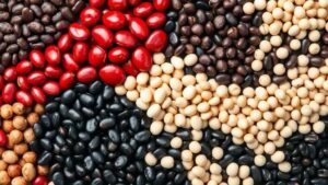 Feijão: o superalimento que ajuda a controlar o peso