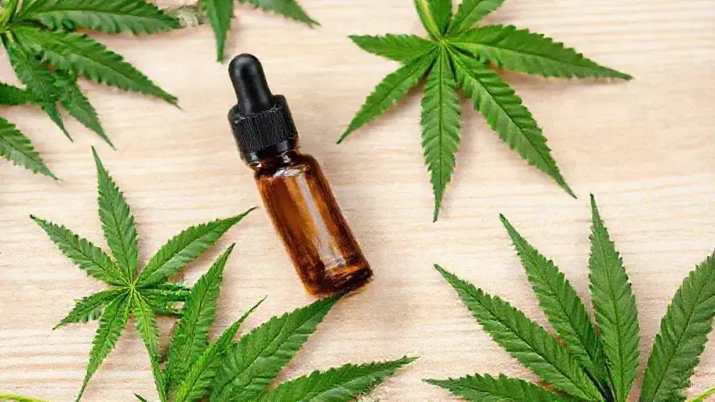 Canabidiol: Efeitos e Avanços no Tratamento de Doenças 1 Canabidiol: Efeitos e Avanços no Tratamento de Doenças