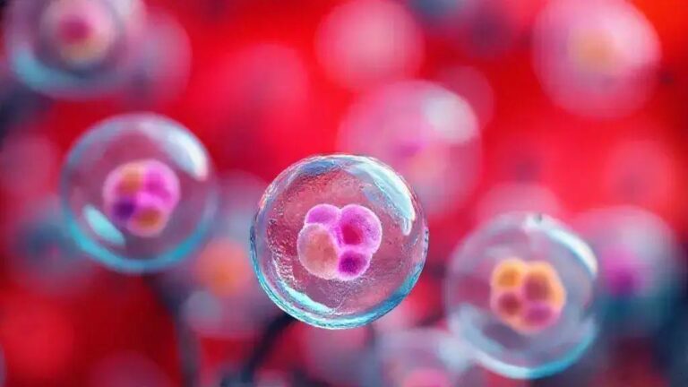 Como células zumbis afetam o controle da glicose e a diabetes 7 Como células zumbis afetam o controle da glicose e a diabetes