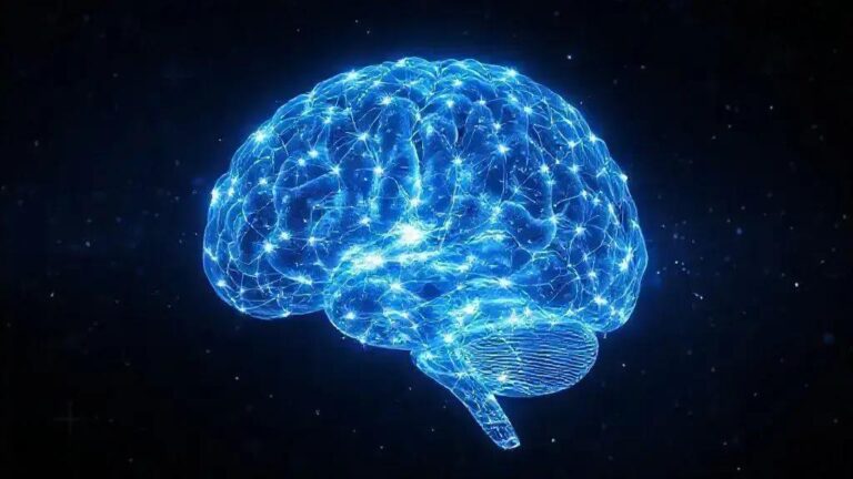 Como o cérebro decide o que lembrar: entender a memória 2 Como o cérebro decide o que lembrar: entender a memória