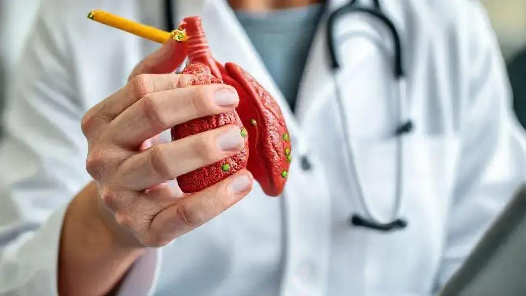 Entenda a Importância da Paratireoide e Seus Efeitos na Saúde 1 Entenda a Importância da Paratireoide e Seus Efeitos na Saúde