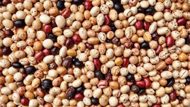 Entenda a importância do ferro e como garantir sua ingestão ideal