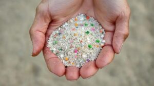 Entenda os perigos dos microplásticos para a saúde humana