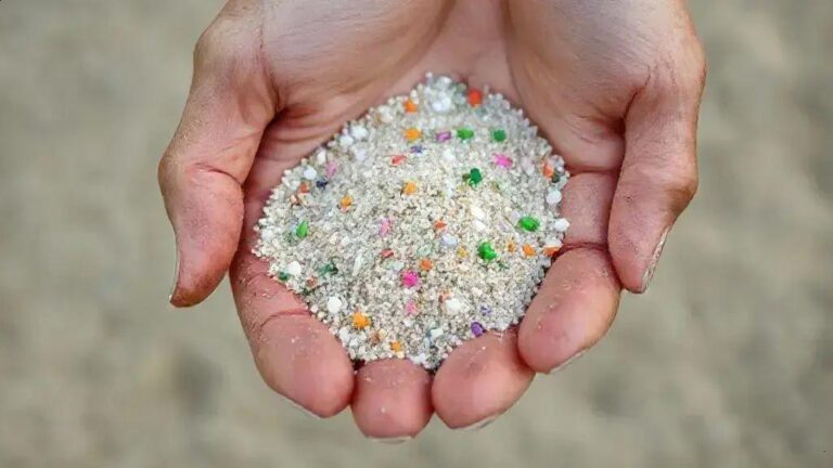 Entenda os perigos dos microplásticos para a saúde humana 5 Entenda os perigos dos microplásticos para a saúde humana