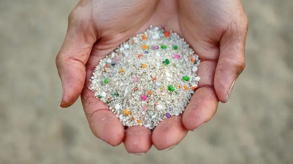 Entenda os perigos dos microplásticos para a saúde humana