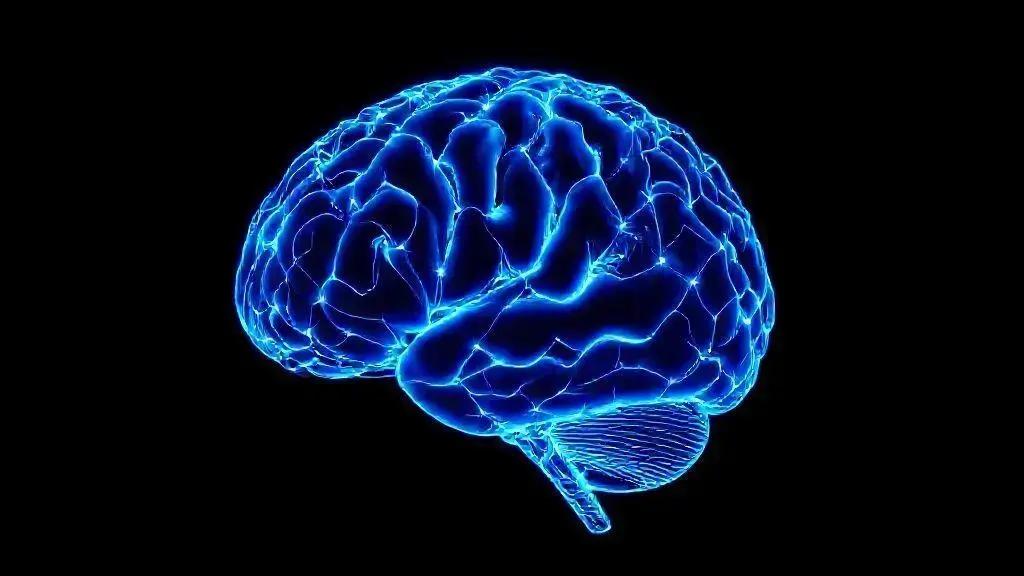 Estudo revela como proteína Sox9 pode reduzir efeitos do Alzheimer 1 Estudo revela como proteína Sox9 pode reduzir efeitos do Alzheimer