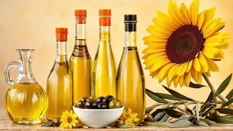 Os Impactos do Óleo Vegetal na Saúde e Beleza do Dia a Dia 6 Os Impactos do Óleo Vegetal na Saúde e Beleza do Dia a Dia
