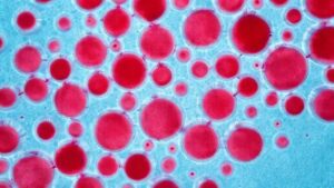 Brasil é o primeiro país da América do Sul a eliminar transmissão vertical do HIV