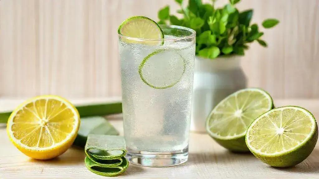 Suco de babosa: benefícios, preparo e cuidados essenciais para a saúde 1 Suco de babosa: benefícios, preparo e cuidados essenciais para a saúde