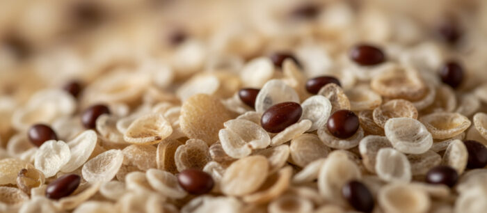 Psyllium (com) 1 Psyllium (com)