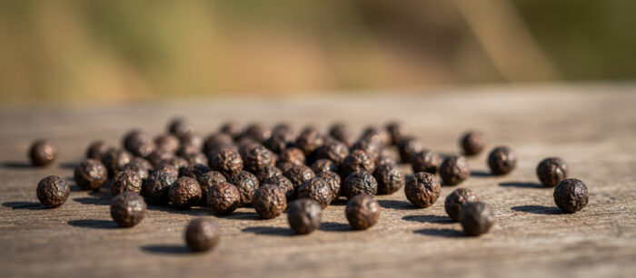 Quelato de Manganês 1 Quelato de Manganês