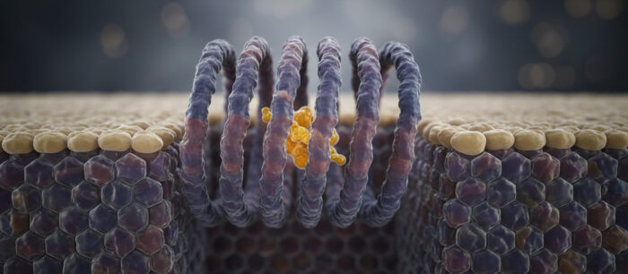 Rhodopsin 1 Rhodopsin