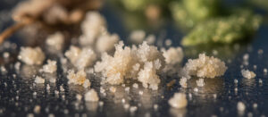 Ursólico (Ácido Ursólico)