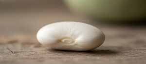 White Kidney Bean