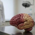 Avaliação da Formação Médica: É Hora de um Exame Nacional de Proficiência?