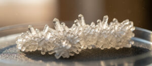 Ciclo-Histidina-Prolina (CHP)