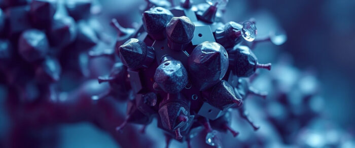 Galacto-oligossacarídeos (GOS)