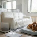 Cuidados essenciais após a dedetização em casa